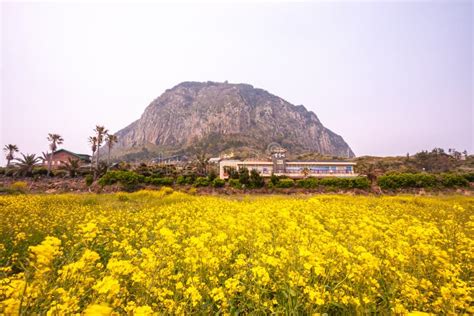 소노벨 제주, 바다와 산의 조화를 넘어선 예술적 영감